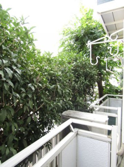 【展望】 | 参考・別室