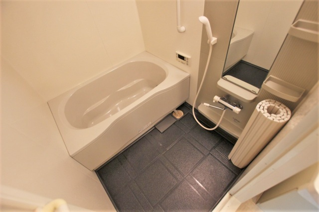 グレイスパルコートの浴室