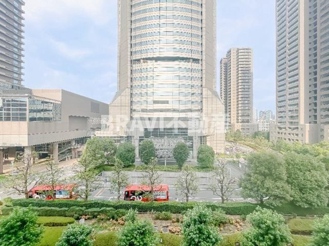 ザ・パークハビオ天満橋　BRAVI不動産の展望