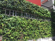 【外観】 | ザ・梅田タワー