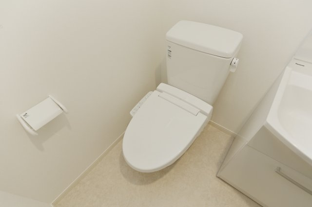 シャ・ガイールのトイレ