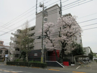 調布市布田６丁目のマンションの画像