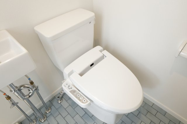 アパートメント新小岩B棟 のトイレ