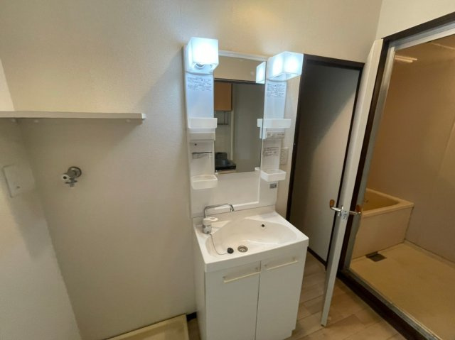 ルネッサンスハイムの洗面所