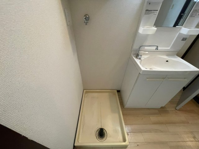 ルネッサンスハイムのその他