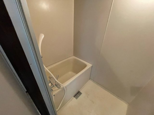 ルネッサンスハイムの浴室