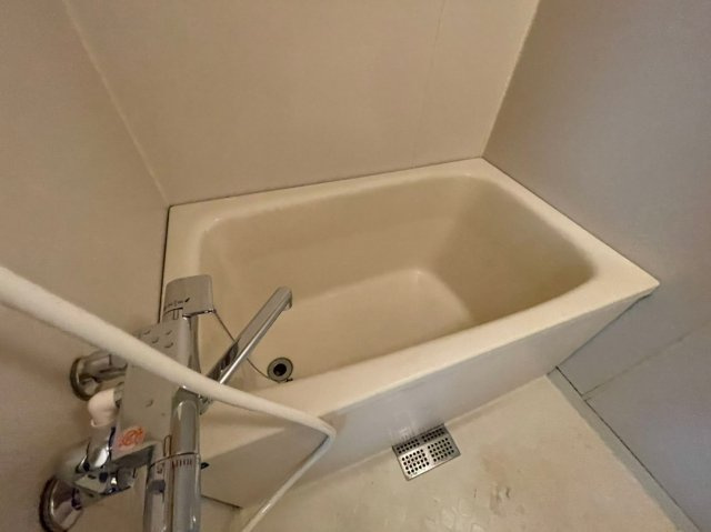 ルネッサンスハイムの浴室