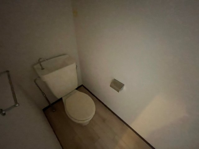 ルネッサンスハイムのトイレ