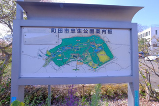 【周辺】