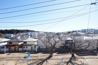 【展望】 | 前面が公園ですので景色がとても良いです。春になると桜が咲きます。
四季を感じられる眺望です！