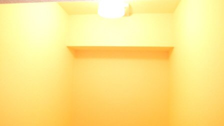 ＣＯＬＯＲ若宮のトイレ|トイレに棚付き