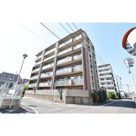 ネオジェラーモの画像