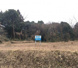 菊池郡大津町大字杉水の画像