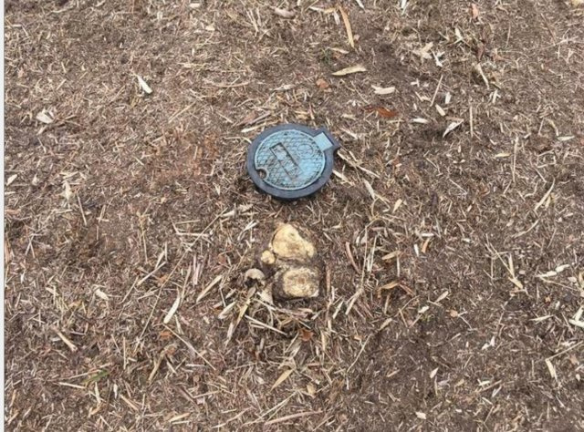 【外観】 | 菊池郡大津町大字杉水 | ☆現地写真☆