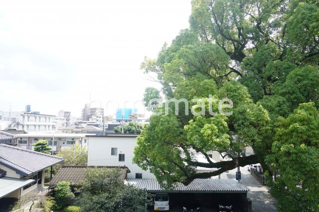 熊本市中央区黒髪１丁目の賃貸マンションの展望
