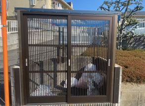 【その他共用部分】 | メゾンラフォーレⅠ