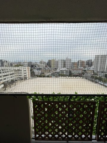 シャルマンコーポ博多の展望|シャルマンコーポ博多(2LDK)　眺望