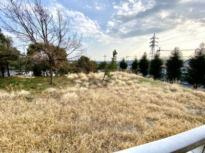 【展望】 | アルカディア真上台B棟