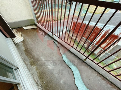 【バルコニー】 | 羽曳野市南古市２丁目戸建