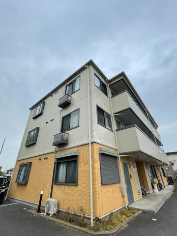 アムールシャンテ是政