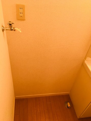 プルミエの洗面所|洗濯機置場室内