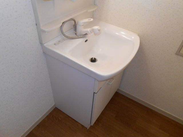 リバーパークBの洗面所
