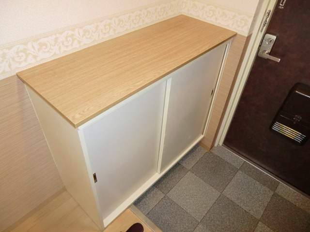ディオサCSのその他