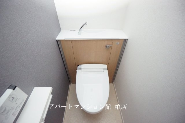 ラピスラズリのトイレ