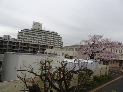 【展望】 | メゾンイーストワイド