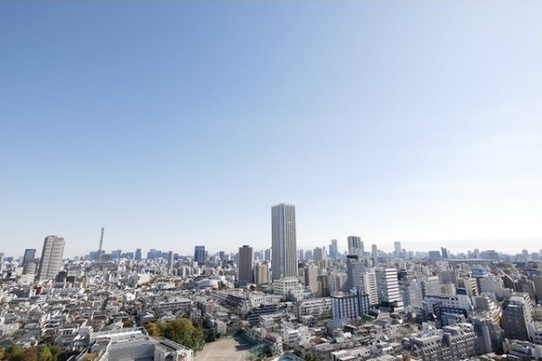 新宿区新宿６丁目の賃貸マンションのその他|眺望