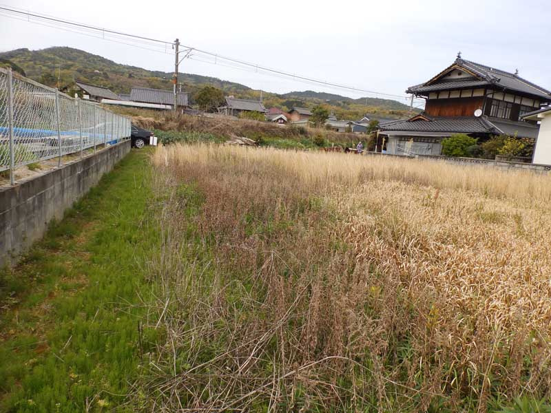 東広島市安芸津町風早　土地の周辺|撮影日2019/04