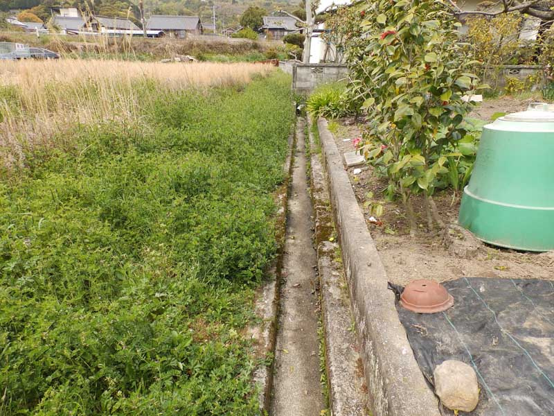 東広島市安芸津町風早　土地の周辺|撮影日2019/04