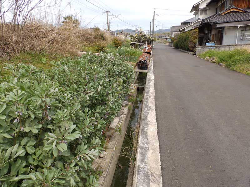 東広島市安芸津町風早　土地の前面道路含む現地写真|撮影日2019/04