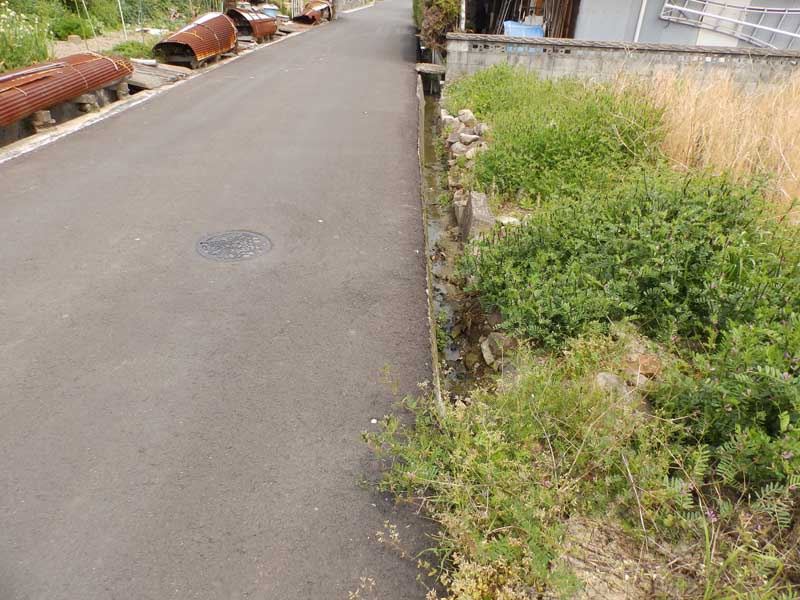 東広島市安芸津町風早　土地の前面道路含む現地写真|撮影日2019/04