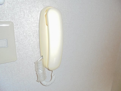 【セキュリティ】 | フォレスタ | インターホン