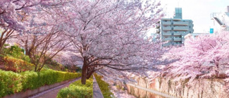 【外観】 | ●弊社売主！直接販売！