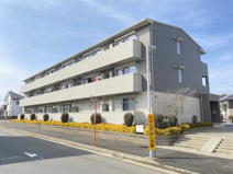 ブライト学園の森の画像