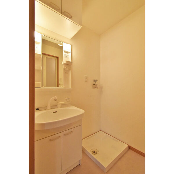 excel　　刈谷市近郊の賃貸はクラスホームの洗面所