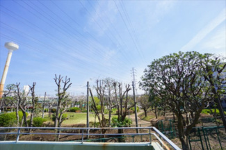 【展望】 | 全面は公園なので、緑が広がる景観です。