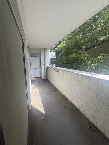 【その他】