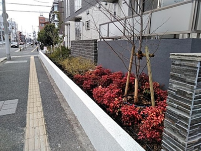 【周辺】 | raffine | アプローチ