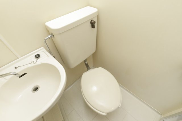 ドエル新小岩のトイレ|別部屋、反転タイプ