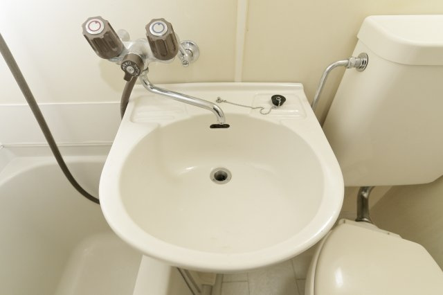 ドエル新小岩の洗面所