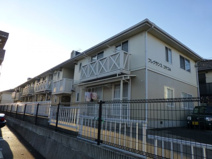 フレグランスコサコの画像