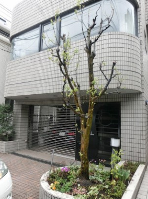 【外観】 | CACHTE（カシェ）