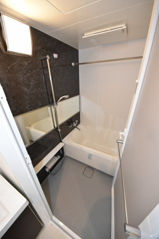 ダ　ヴィンチの浴室