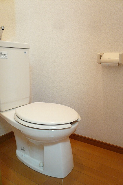 川合ビルのトイレ