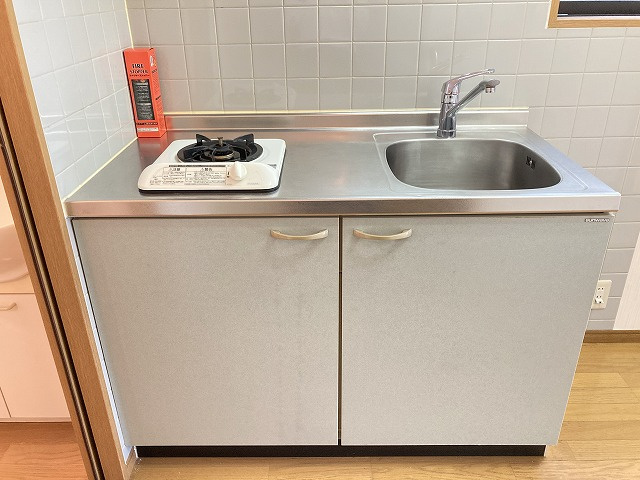 BRUNNEN517のキッチン