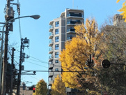 ドゥーエ東大前の画像