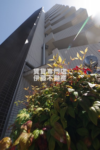 コンフォート城西